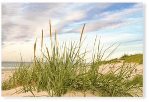 Am Strand - Premium  Poster