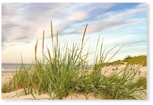 Am Strand - PVC-Poster