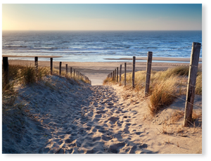 Der Weg zum Strand - Premium Poster