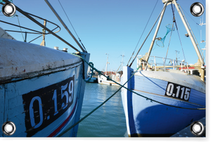 Im Hafen  - PVC-Poster