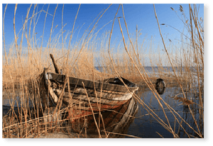 Old Boat - Premium Poster